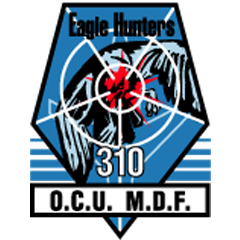 M.D.F. 310th - Eagle Hunters